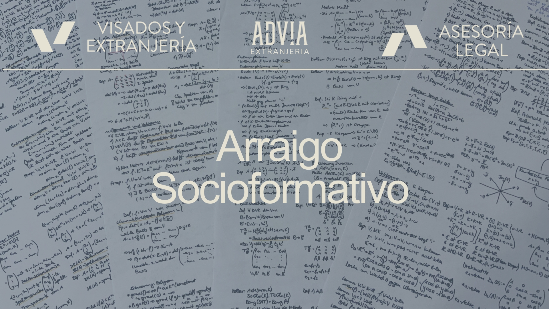Lee más sobre el artículo Arraigo Socioformativo